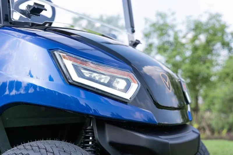 leroad colour optional have sun top and caddie  2 seats lifted electric golf cart high quality