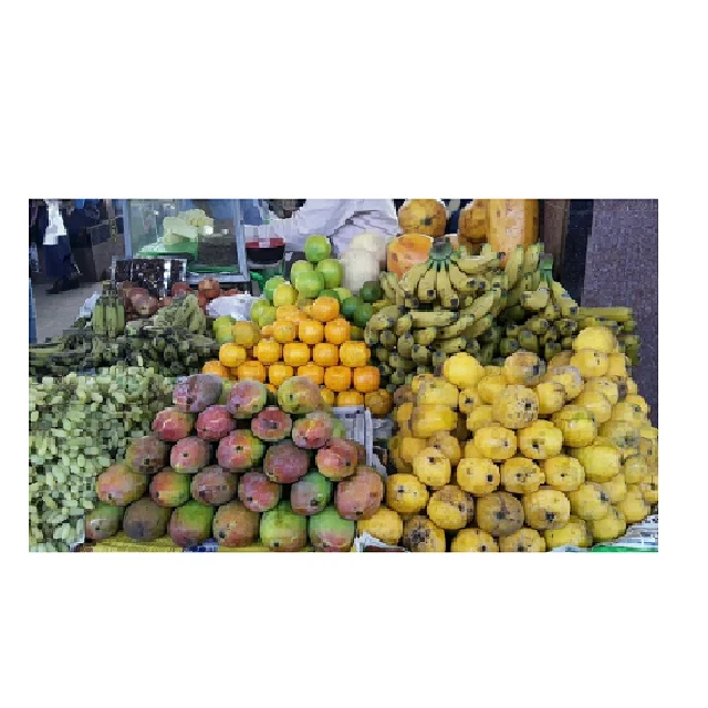 Best selling wholesale price New Crop Sweet fresh guava indian fruits for export