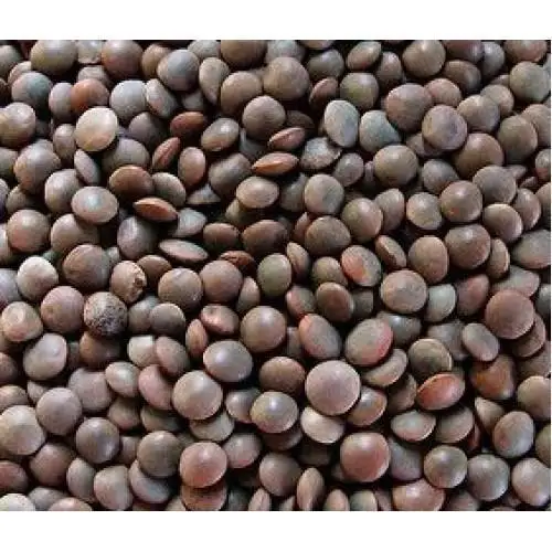 
Black lentil Brown masoor 