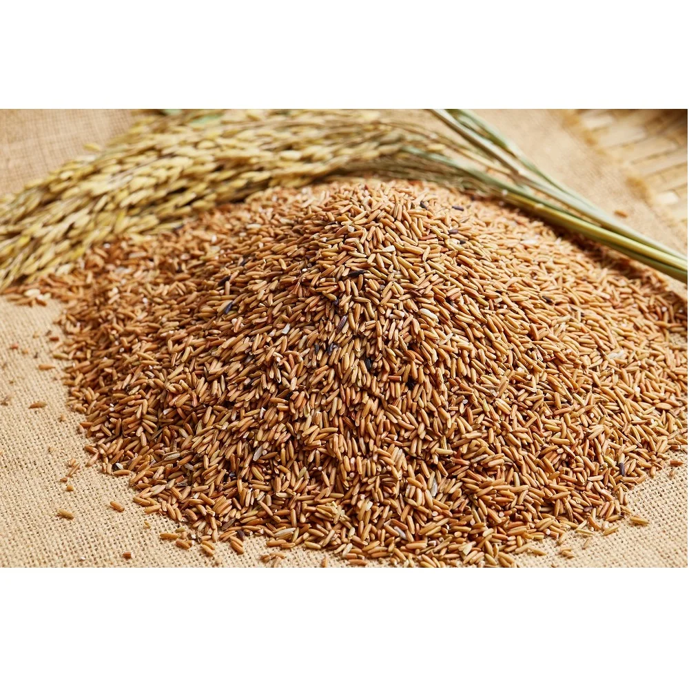 2020 Crop Long-Grain Thai Sangyod Rice Brown Rice  With 12% Max. Moisture in PP Woven Bags Packaging