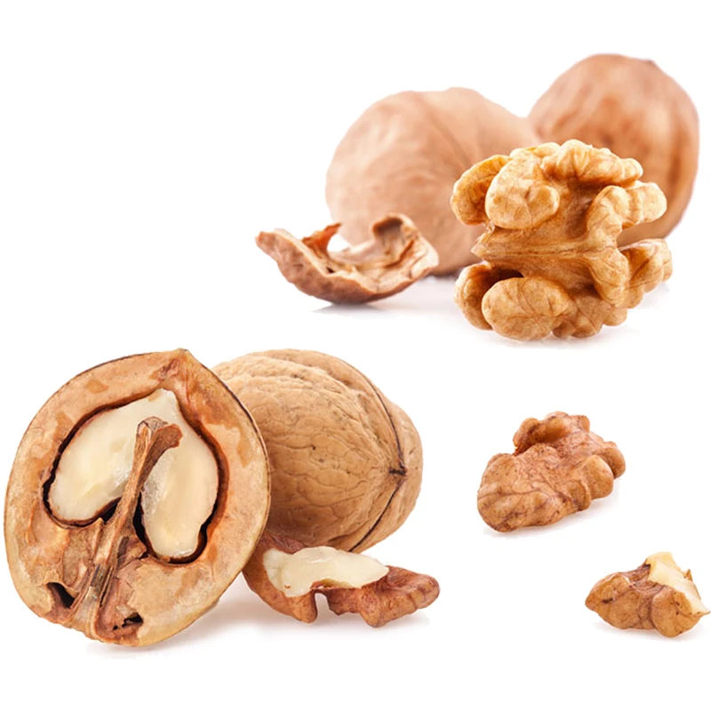 Изготовленный На Заказ органический необработанный орех круглой формы в Ракушке