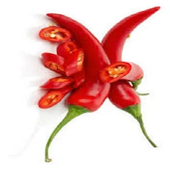 
High Quality Red fresh cayenne pepper Hot For Worldwide buyers 