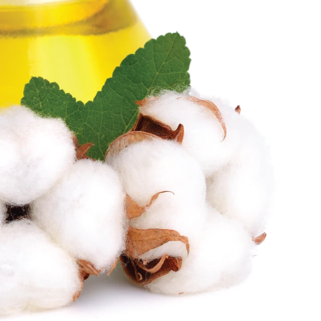 Оптовая продажа 100% натуральное масло семян хлопка подсолнечника