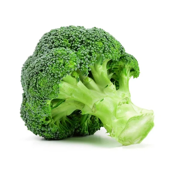 Available Bulk Stock Of Fresh Vegetables Broccoli At Lowest Prices