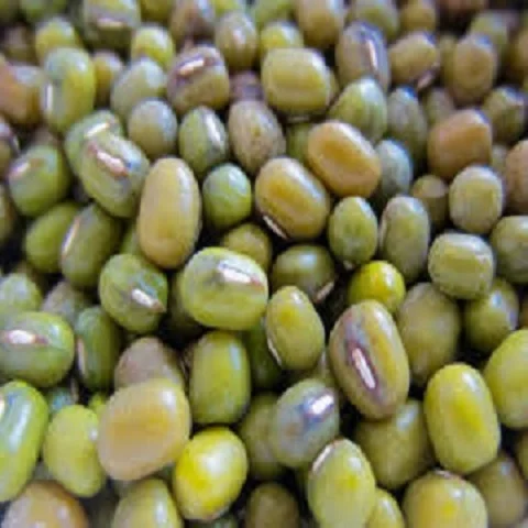 Green Mung bean For Sale