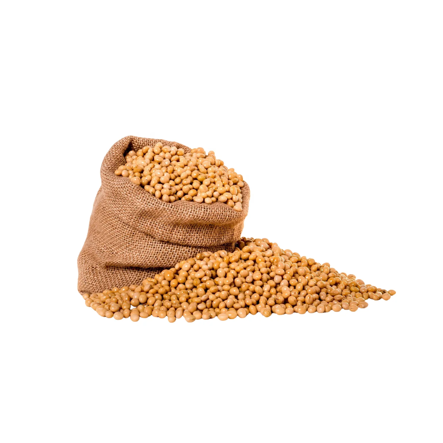 
 Соевые бобы без ГМО 500MT для сельского хозяйства  