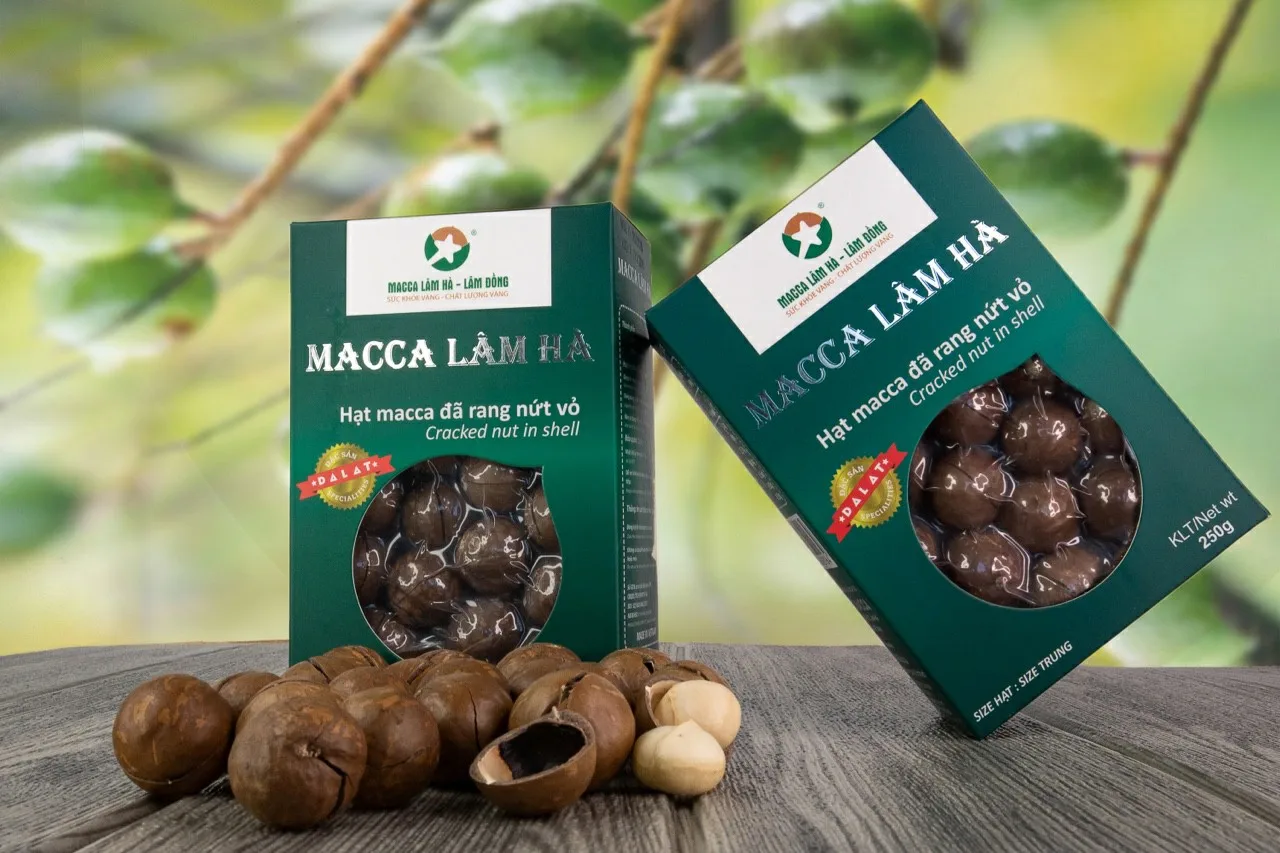 ISO Certification 100% Macadamia nuts Dried Style Organic Cultivation Type Macadamia nuts (green box) from Vietnam