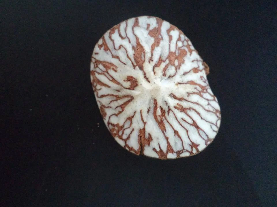 Высокое качество свежий betel с ограниченным количеством