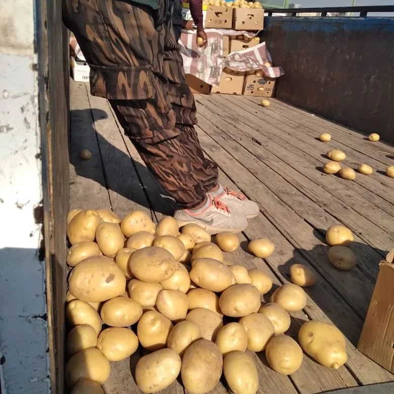 Оптовая продажа семян ирландского свежего картофеля для продажи оптом