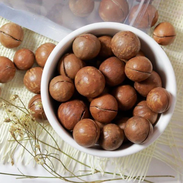 Премиум-класса орех макадамии, Подарочный орех макадамии по лучшей цене, вьетнамский орех макадамии-SVEN + 84 966722357