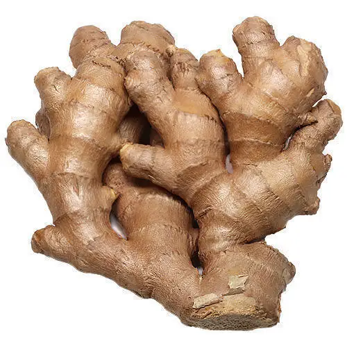 buyer wholesale chinese fresh new red ginger for sale 10kg carton