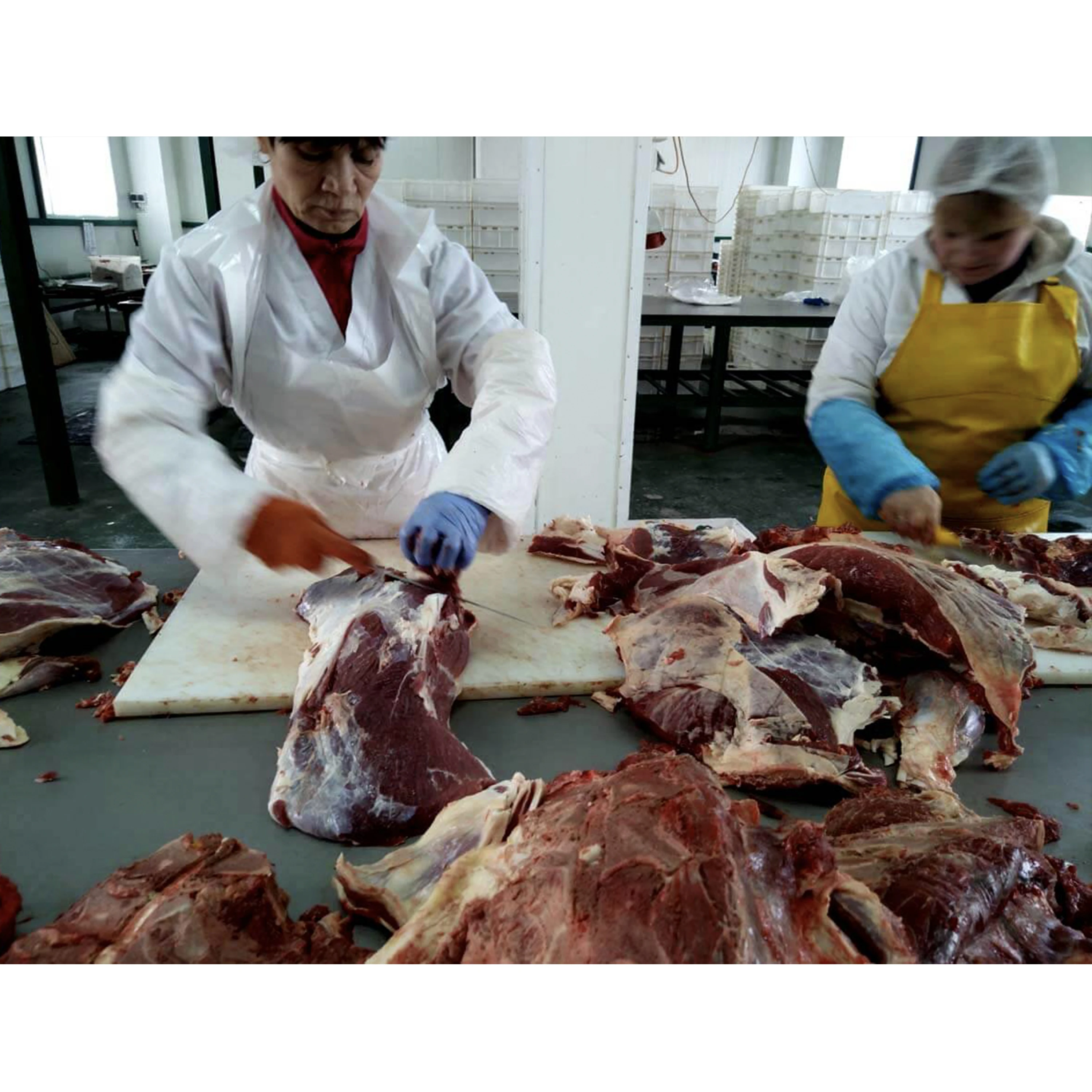 Frozen Halal Flank Beef boneless meat from Ukraine