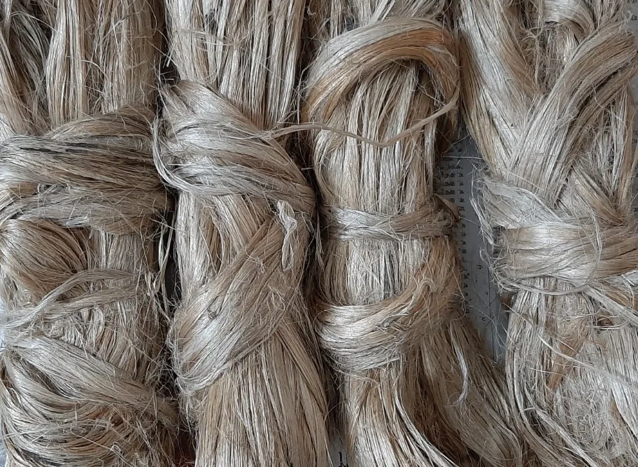 Factory Sale Medium Weight Long Size Environmental Protection Best Quality Raw Jute Tossa