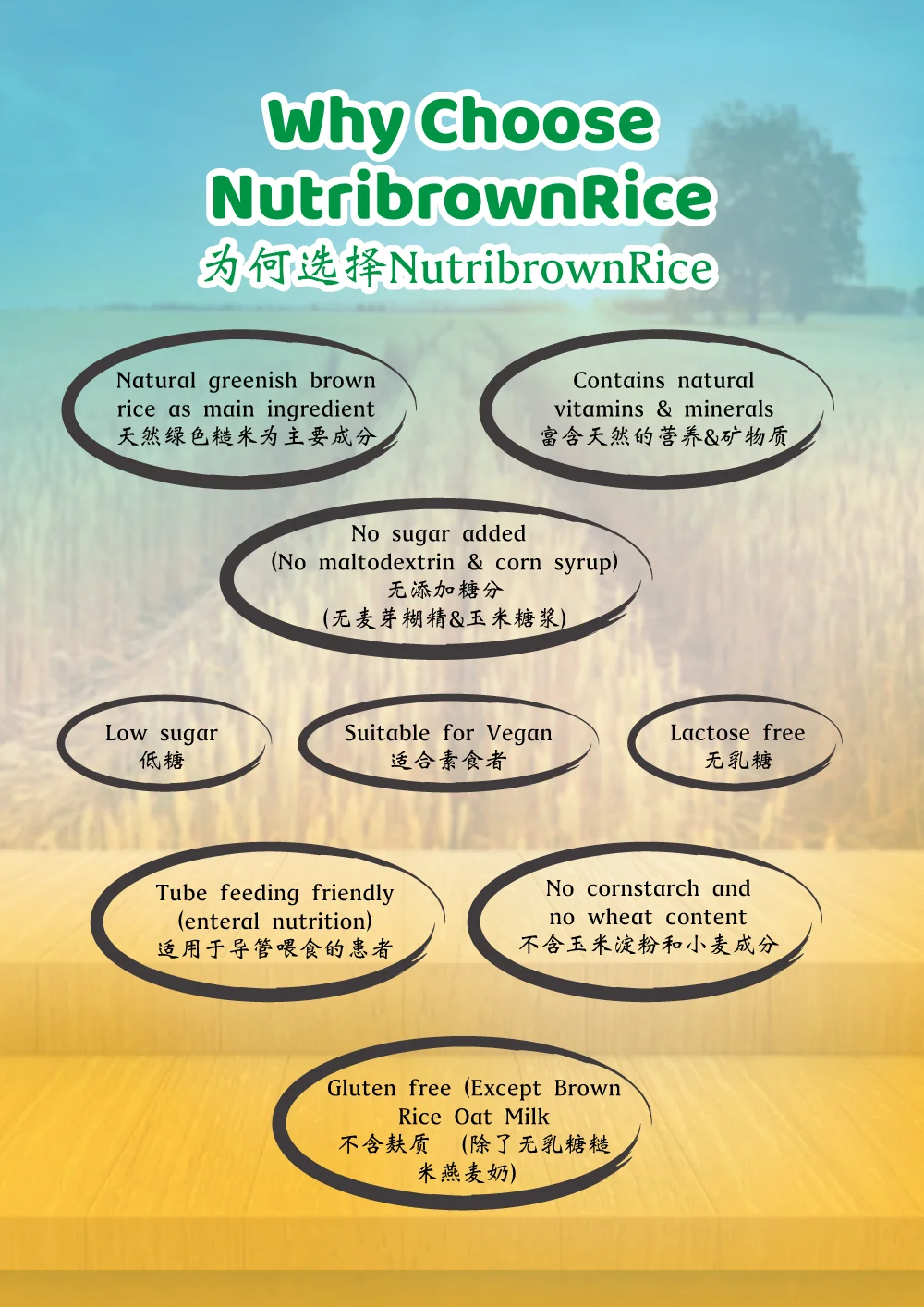 Best Selling Healthy Meal Replacement Instant Brown Rice Beverage Healthy Supplement 100% Natural