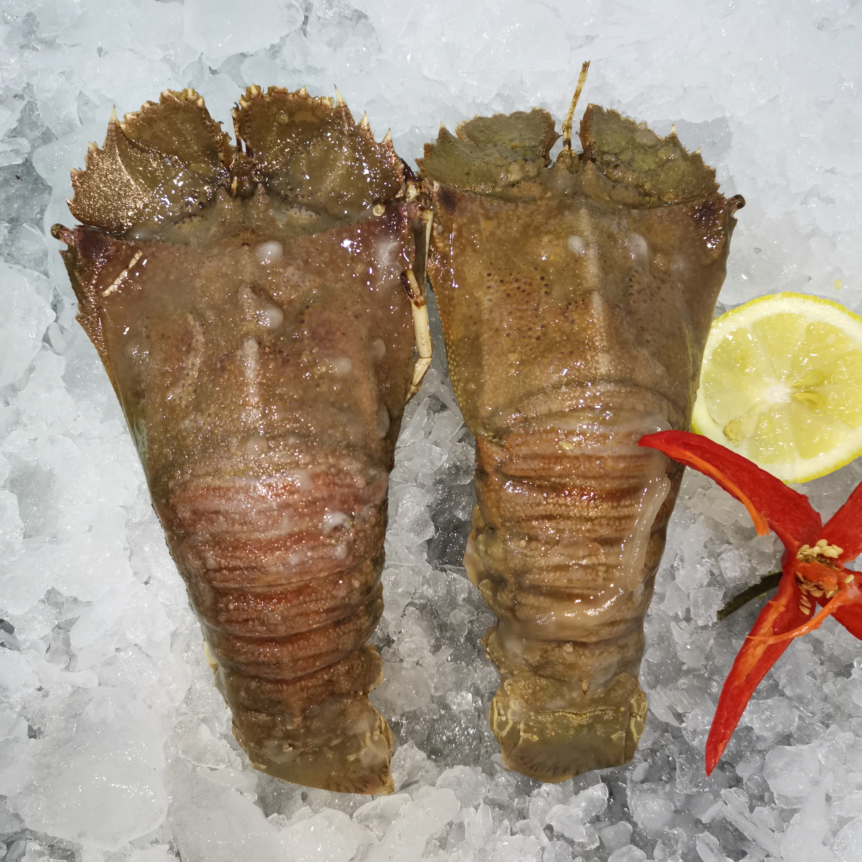  Лучший заводской Рынок морепродуктов Mican Замороженные Свежие тапочки из