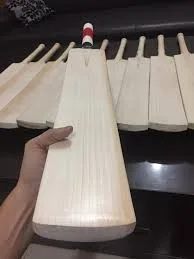 Professional Plain Cricket Bats Plain Cane Handle White Best Club Sports Bats For Youth