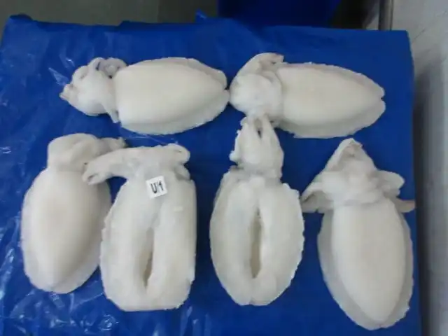 Top quality Cuttlefish  whole cleaned , Individual frozen cleaned cuttlefish from India, whole cleaned frozen cuttlefish IQF
