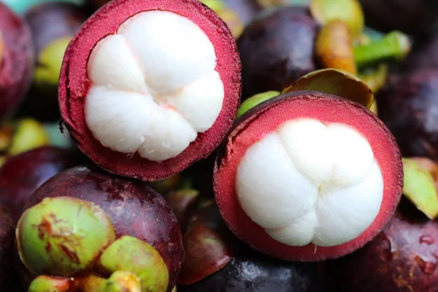 100% White Pulp Mangosteen from Vietnam wholesale - Ms KiO HYUNH + 84 34 375 8904