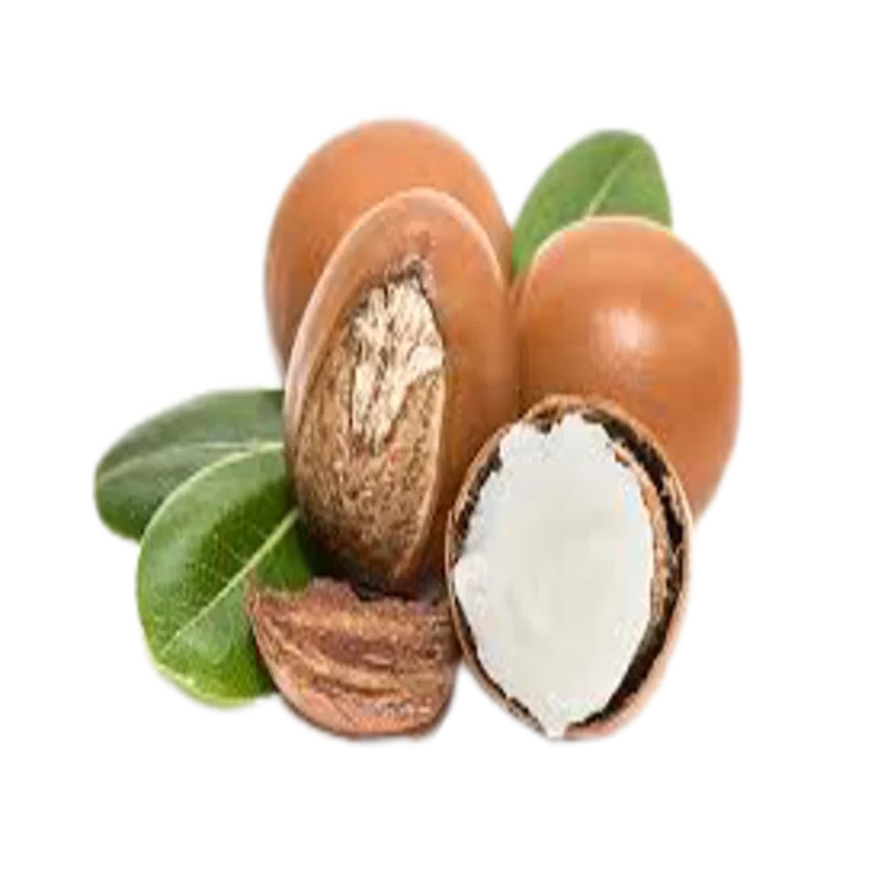 Shea Nuts High Quality Palm Kernel Shell, Garcinia Kola Top Quality Best Grade West African Countries Quality Dry Raw