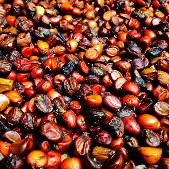 High quality michelia citrata for delicious dish - Whatsapp: +84-845-639-639