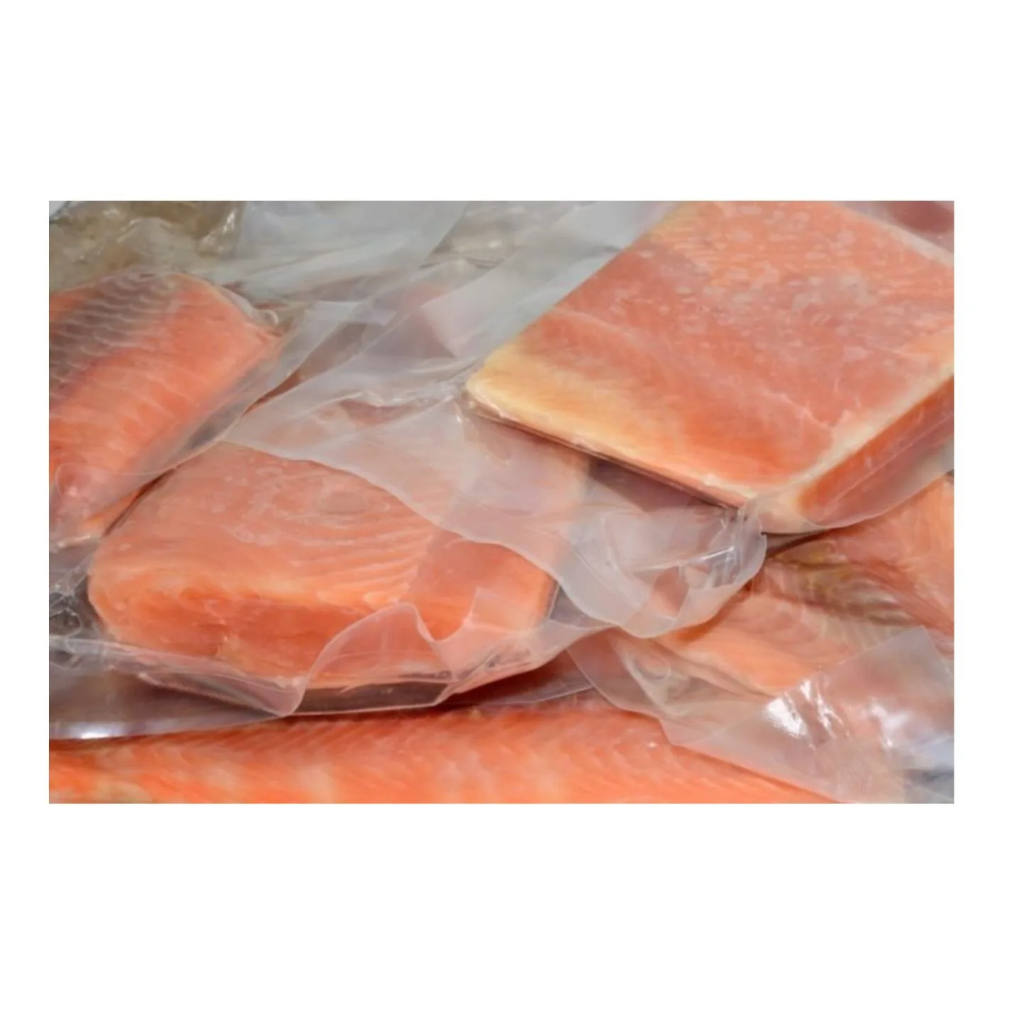 Wholesale Frozen Salmon Fish