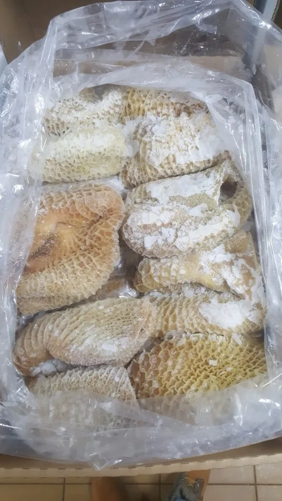 ORGANIC FRESH FROZEN PROCESSING BEEF TRIPE FROZEN BEEF HONEYCOMB TRIPE HIGH QUALITY A GRADE 20 KG BOX ORIGIN MONTENEGRO