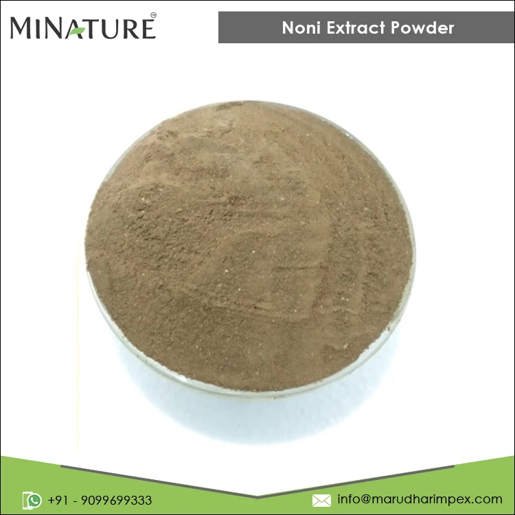 Indian Wholesaler of Superior Quality Wholesale Pure Morinda Citrifolia Noni Extract Powder for Bulk Purchase