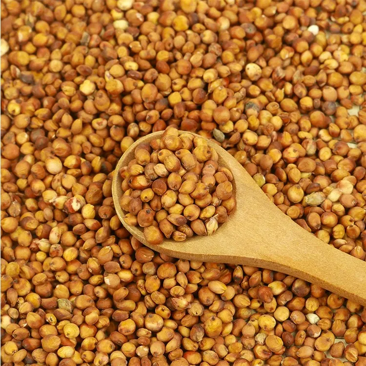 Белая сорго лучшего качества оптом красная для продажи