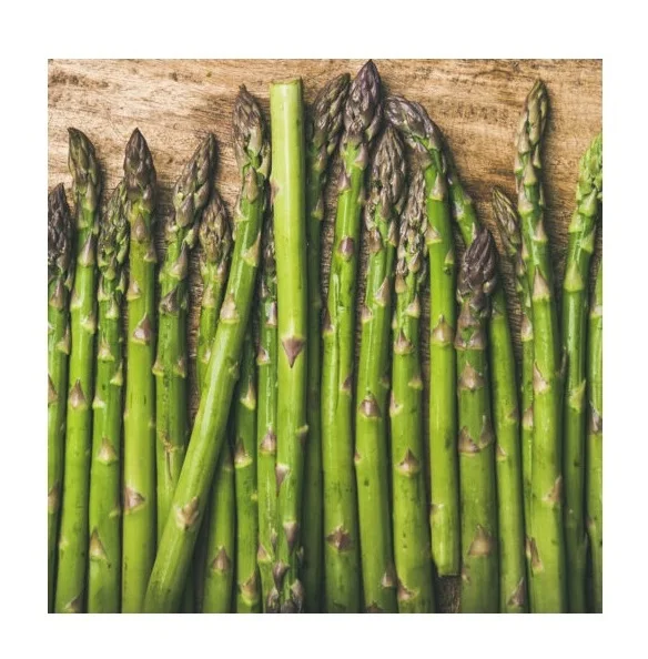 Wholesale Dealer Of Cheapest Price Fresh Vegetable Asparagus