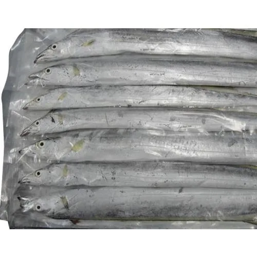 Frozen Largehead Hairtail Fish Seafood From Indonesia Ocean