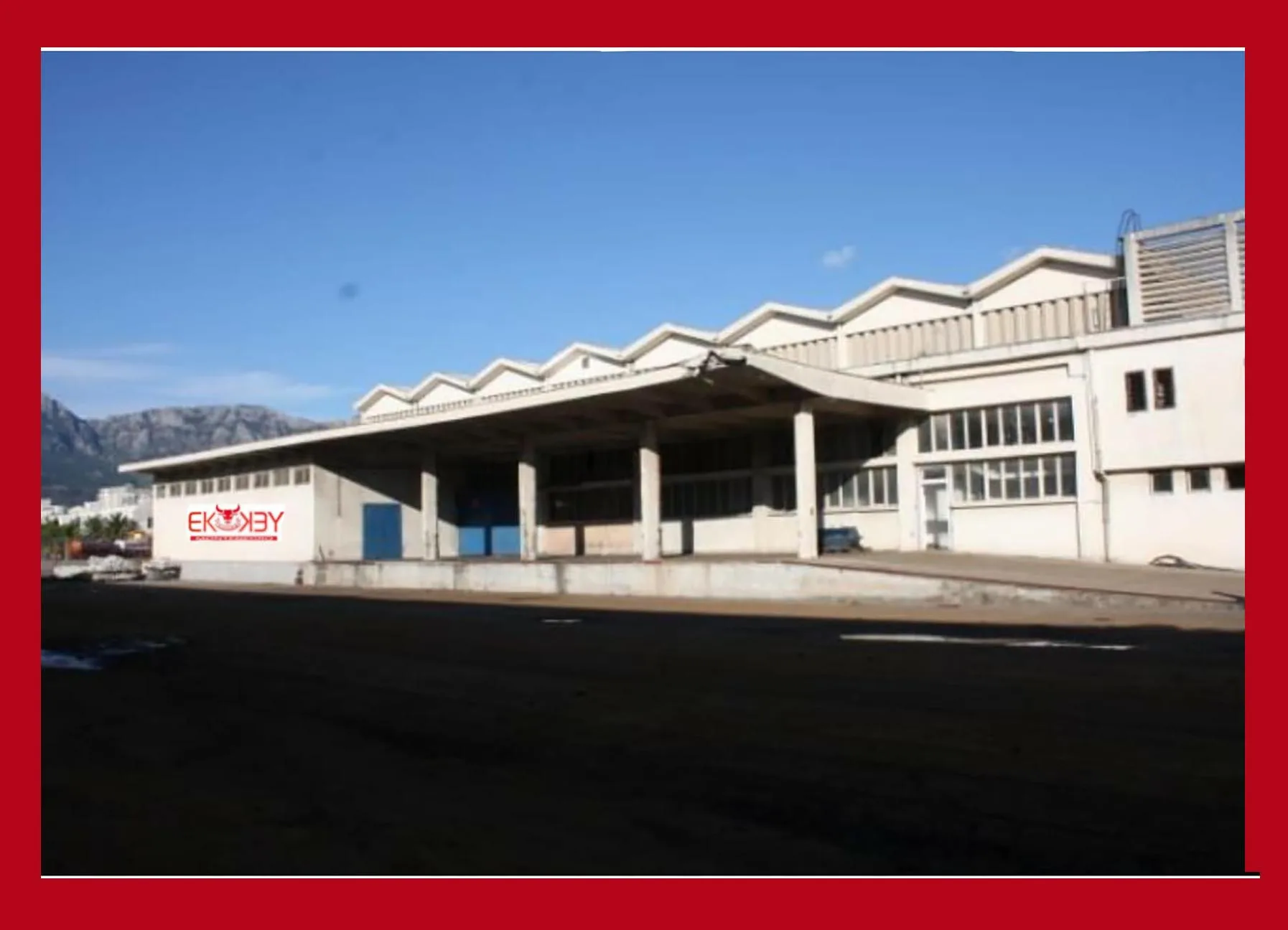 FROZEN CHICKEN PAWS JUMBO SIZE  FRESH FROZEN ALL CLEAN  AA   GRADE  39-48  G 20 KG CARTONS