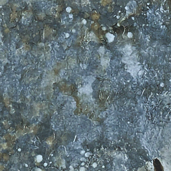 Eco-friendly and Colorful wall decoration Wallpaper with multiple functions made in Japan