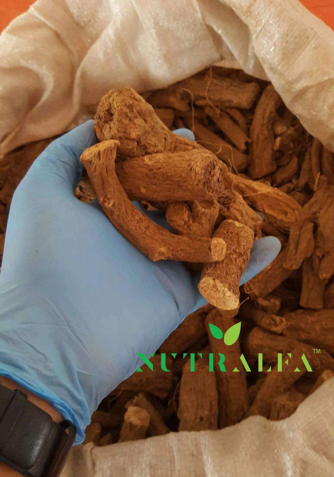 Pioenroos piwonia Best Quality roots herb ship everywhere in the world any packaging