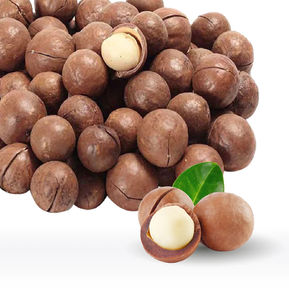 Tasty Roasted Macadamia Nuts From Vietnam