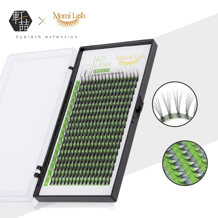 New Private Label 6D Premade Fans Lashes Vietnam Volume Eyelashes