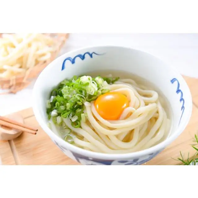 udon noodles