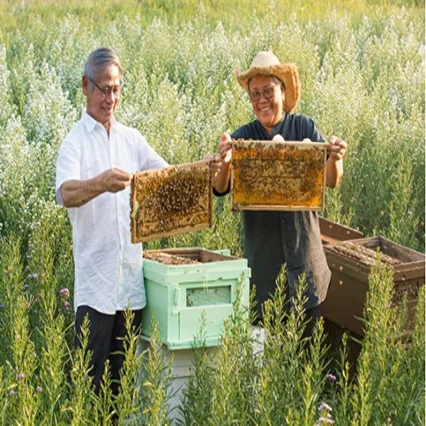  Королевский желе 1000 мг