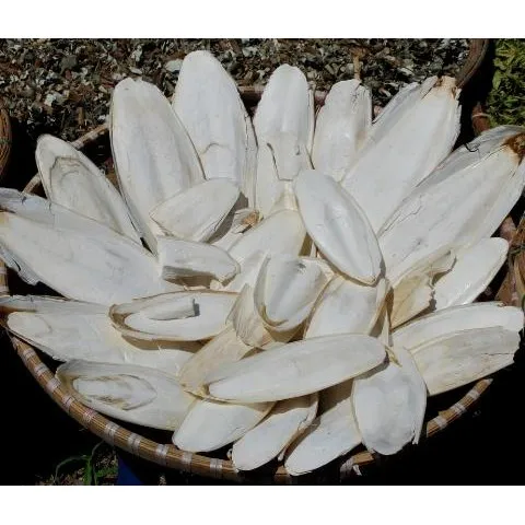 VIETNAM DRIED CUTTELLFISH BONE WITH MANY SIZES/CUTTLEFISH BONE/Ms.Lucy +84929397651