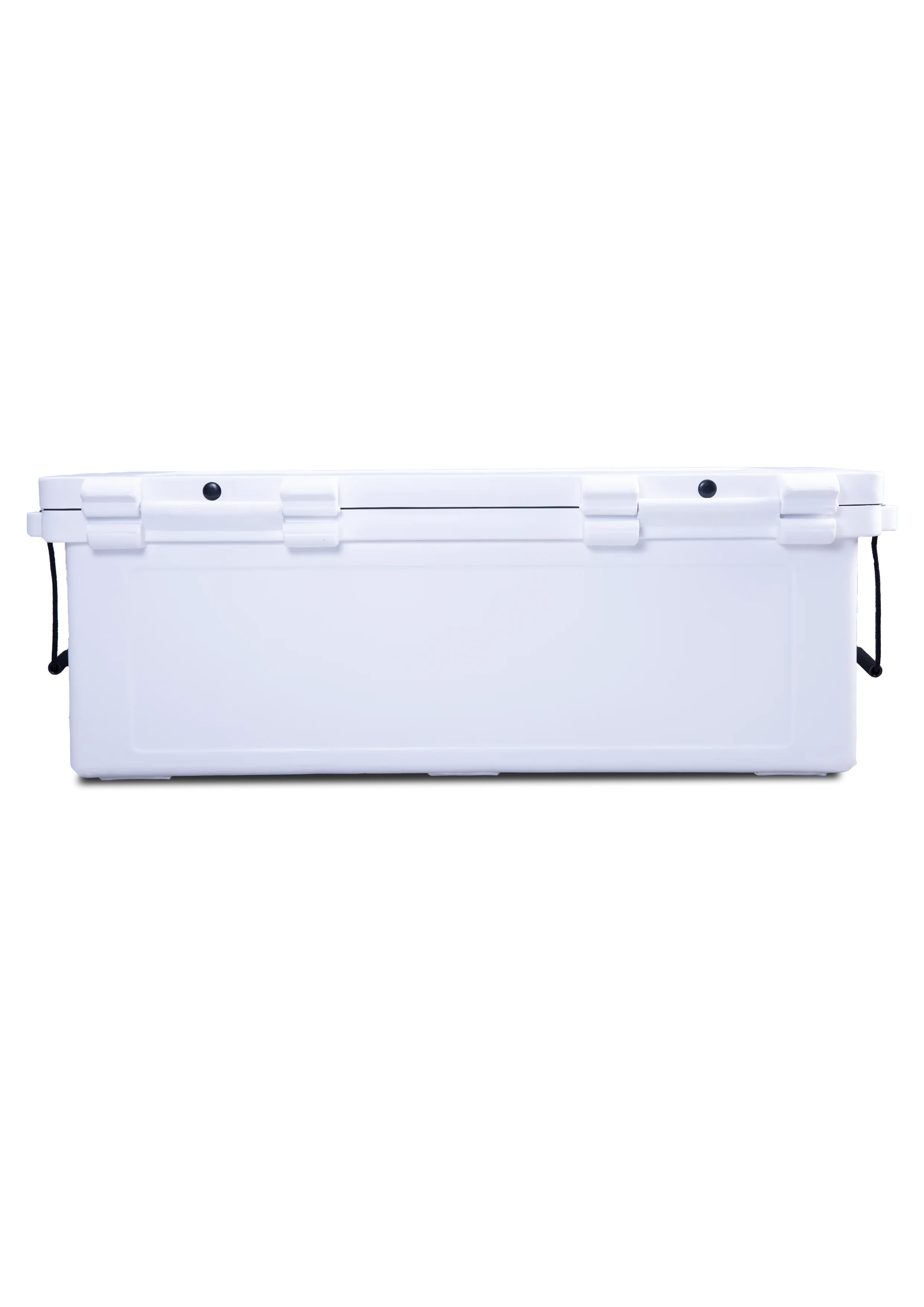 
Best Seller High Quality Ice Food Fruit Fish Boxes Cooler CL 260 Litre OEM Manufacturer From Thailand 