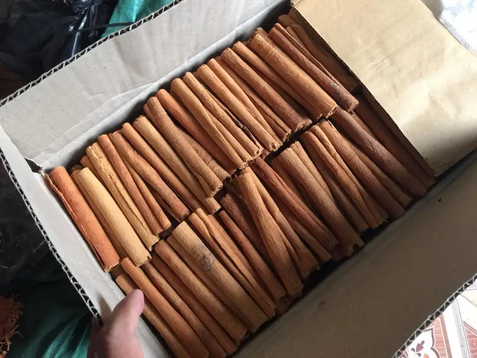 Vietnam CASSIA powder good quality,  +84984418844 whatsapp