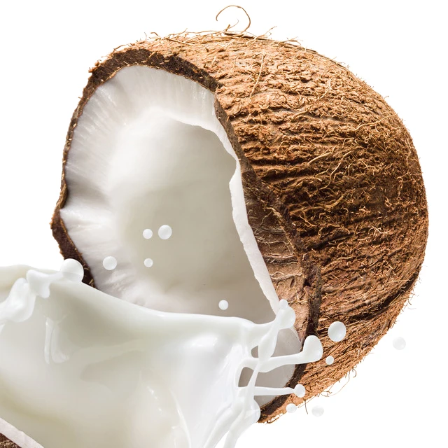 
Whole Semi Husked Coconut Mature Wholesale 