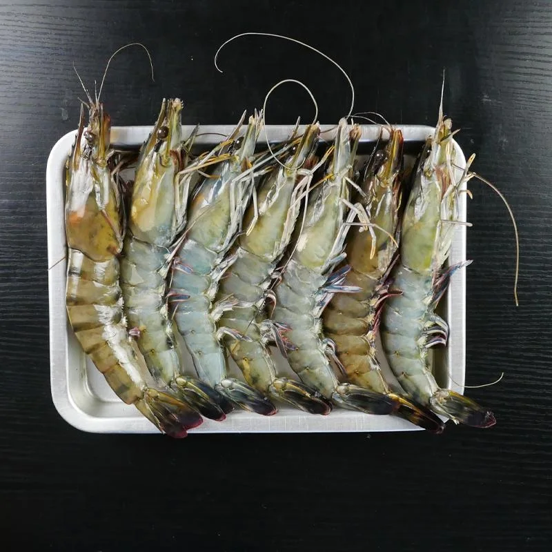 Frozen Tiger Shrimp From Vietnam Malaysia Best Quality Seafood Delicious (21-25 pcs/kg) Semi-IQF 1 kg/box