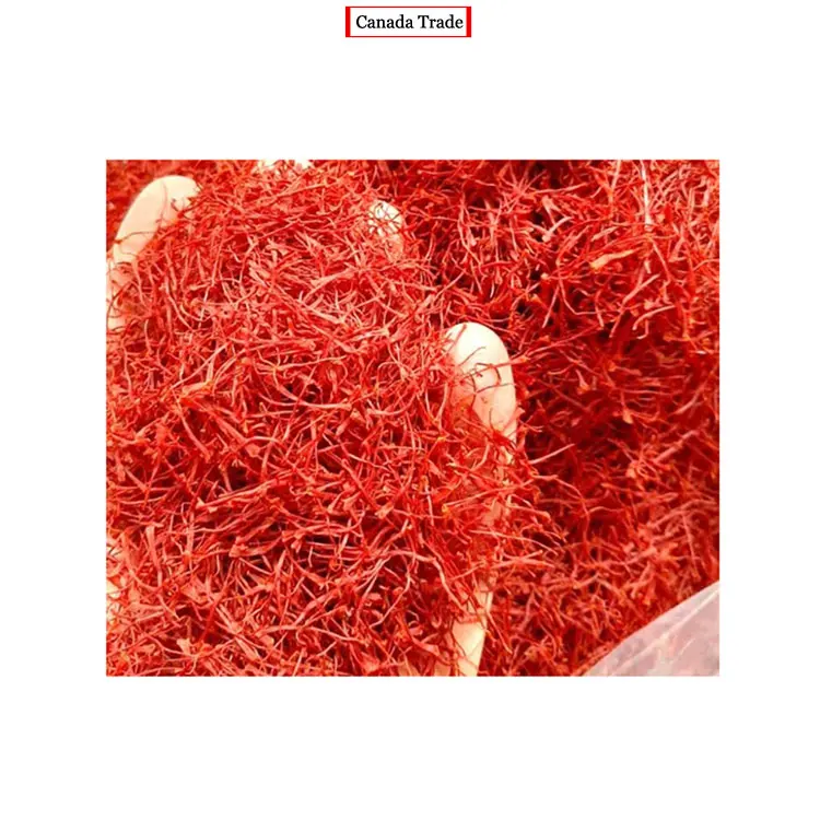 Professional Dealer of World Wide Selling Sargol Saffron at Best Price