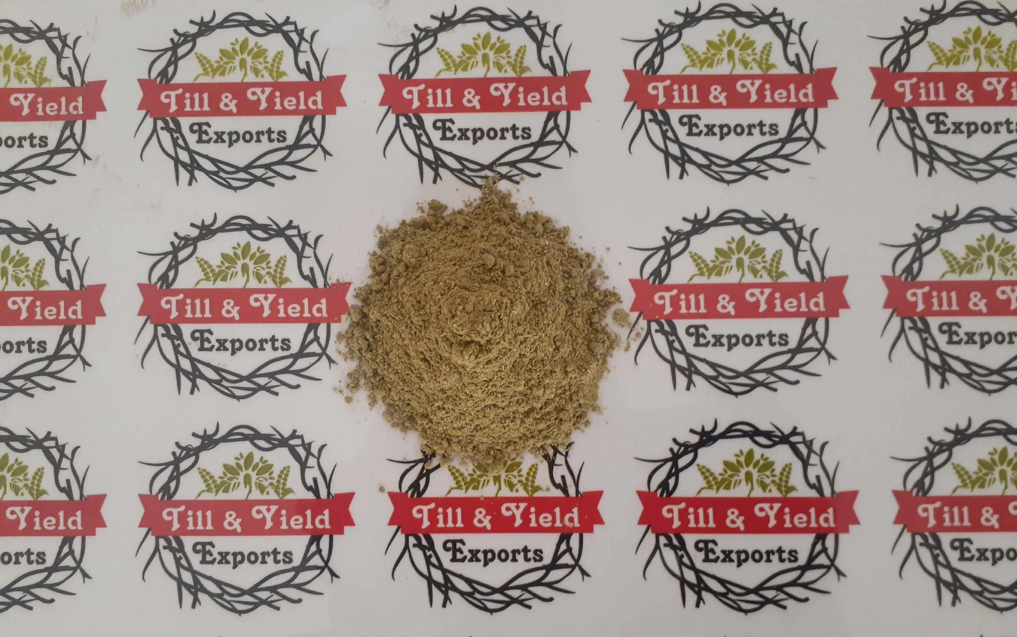 Mentha Arvensis - Mint - Mentha -Pudina Powder Many Stomach Disorders Inflammation And Treatment Of Fever Headache Cold