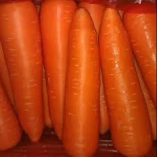 
Long Orange Organic Fresh Carrots 