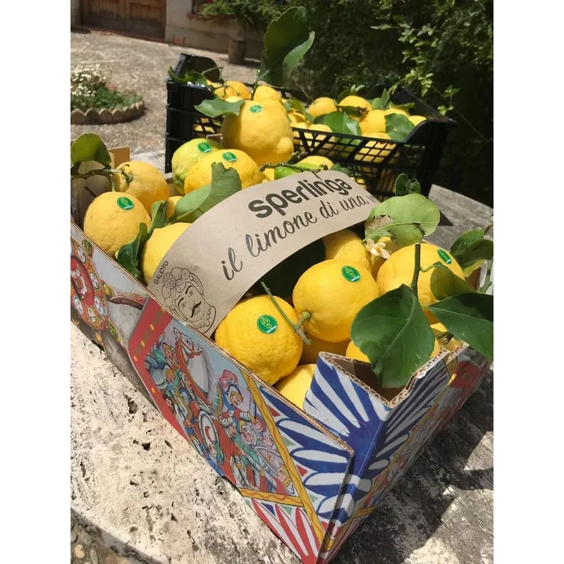 High quality 100% Made in Italy Sicily Organic Yellow Fresh Lemons with Leavesgreen 10kg box ready to ship
