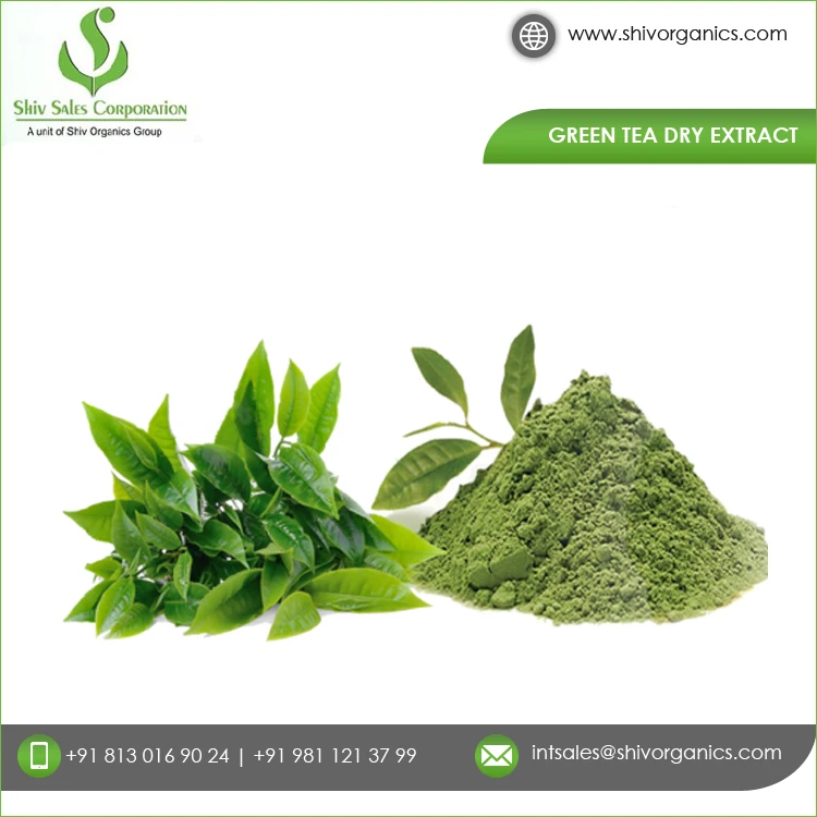 Премиум QualityGreen чай сухой экстракт по рыночным ценам гарантированное качество чистый зеленый