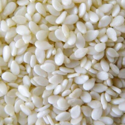 
High Quality White Hulled Sesame Seeds 