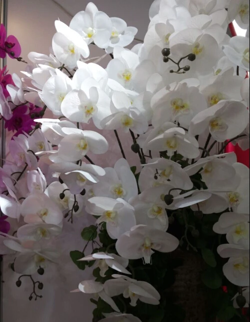 high quality real touch orchid Flowers