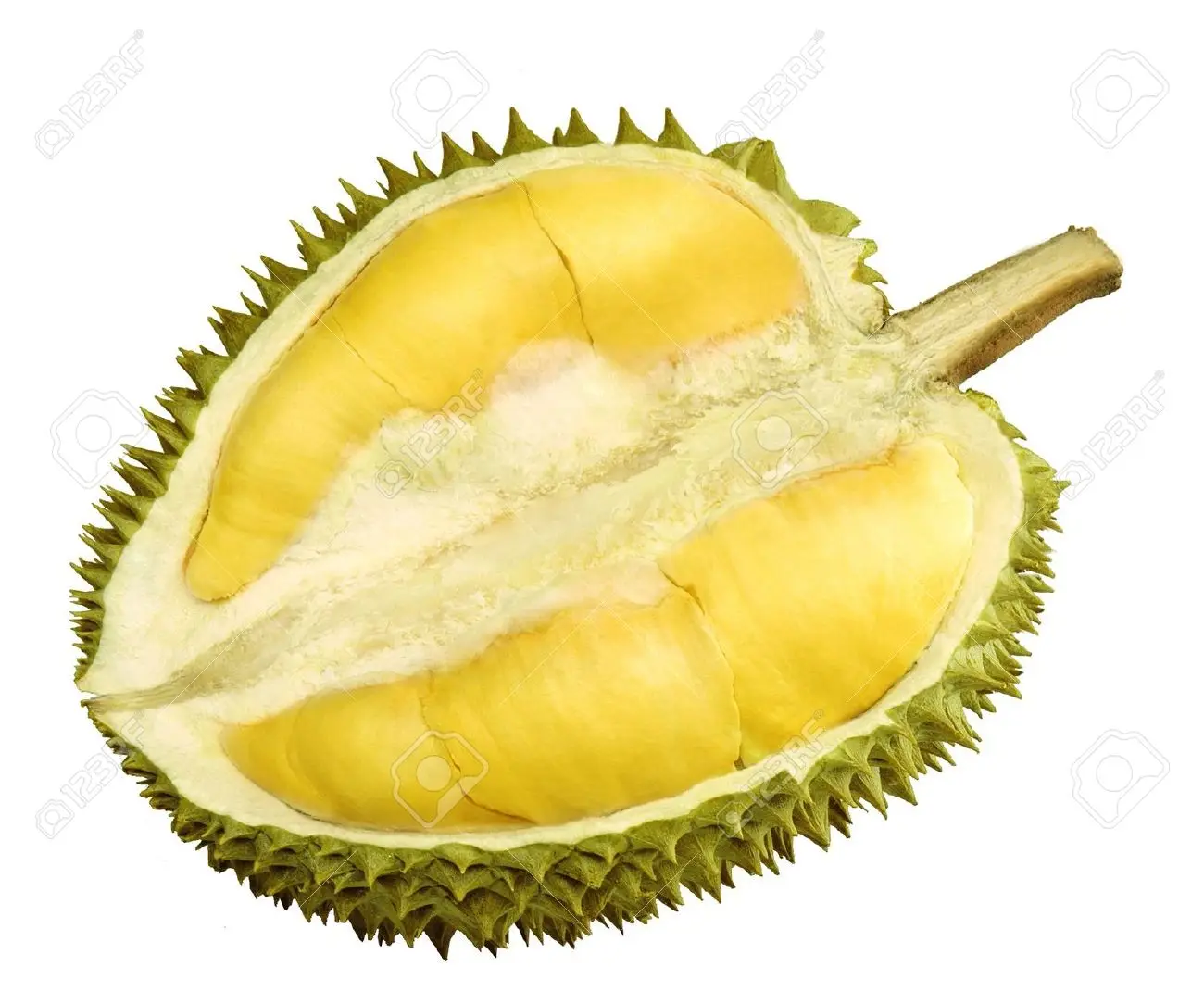 Свежий дуриан/TUREN-TASTY из Вьетнама